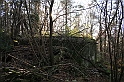 Rostoczek 11.2008 426